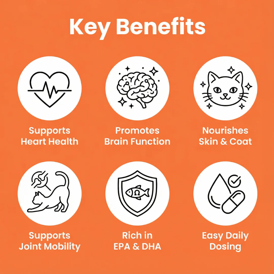 ESSENTIAL FELINE HEALTH SUPPORT