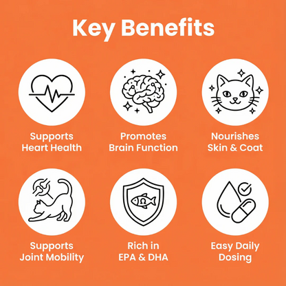 ESSENTIAL FELINE HEALTH SUPPORT